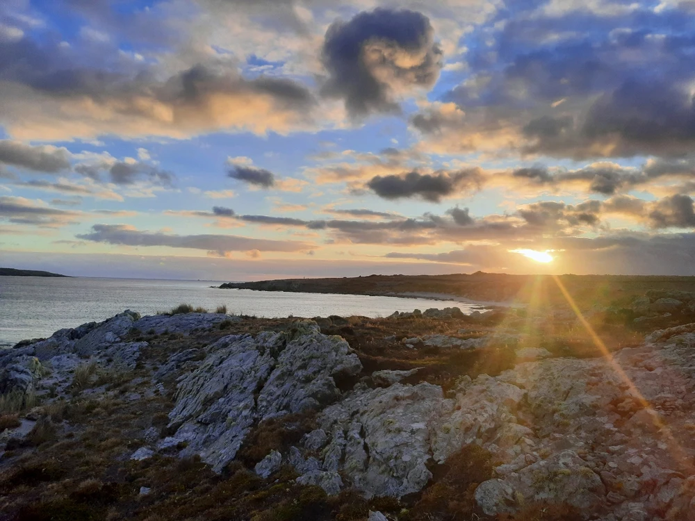 Image uploaded by Rhys