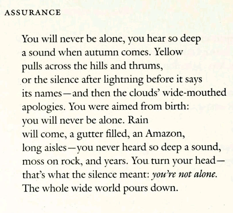 GIF uploaded by John