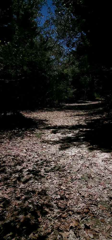 GIF uploaded by Keith