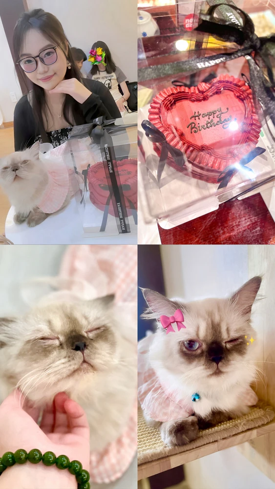 GIF được Rubi tải lên