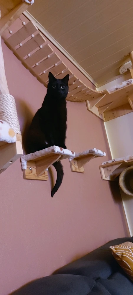 GIF hochgeladen von Alex