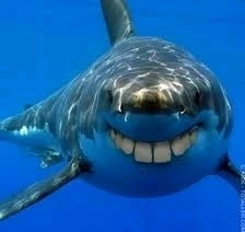 Image ajoutée par Teddy