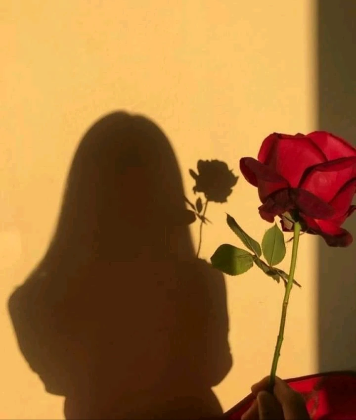 GIF တင်သူ - Ngelay