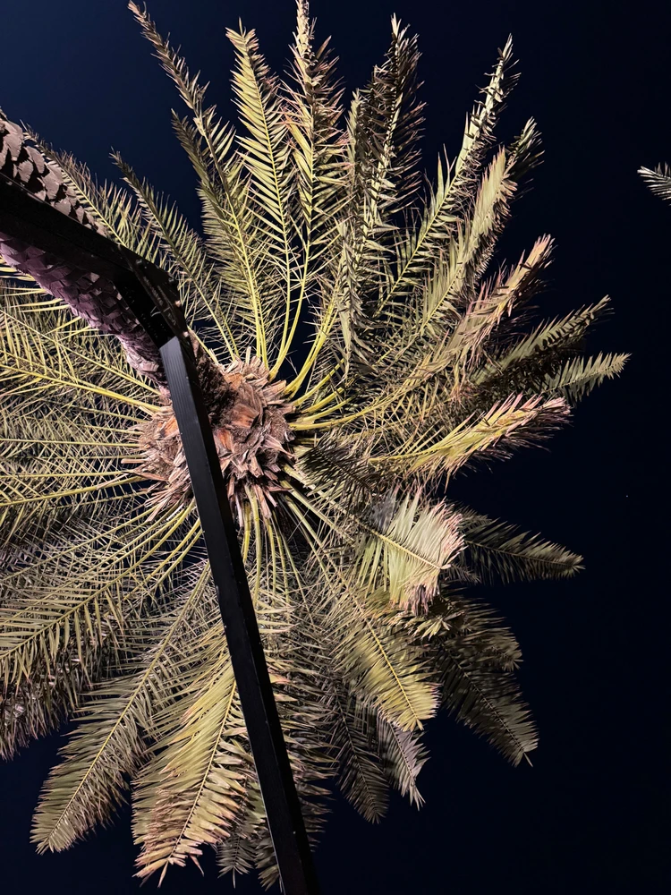 GIF uploaded by Akshat