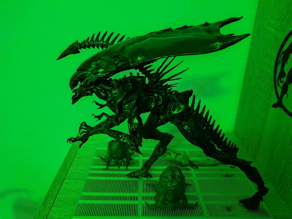 Obrázek nahrál Lukáš