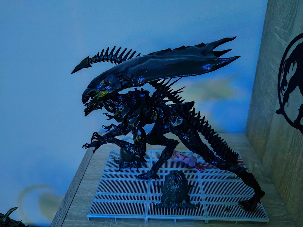 Obrázek nahrál Lukáš