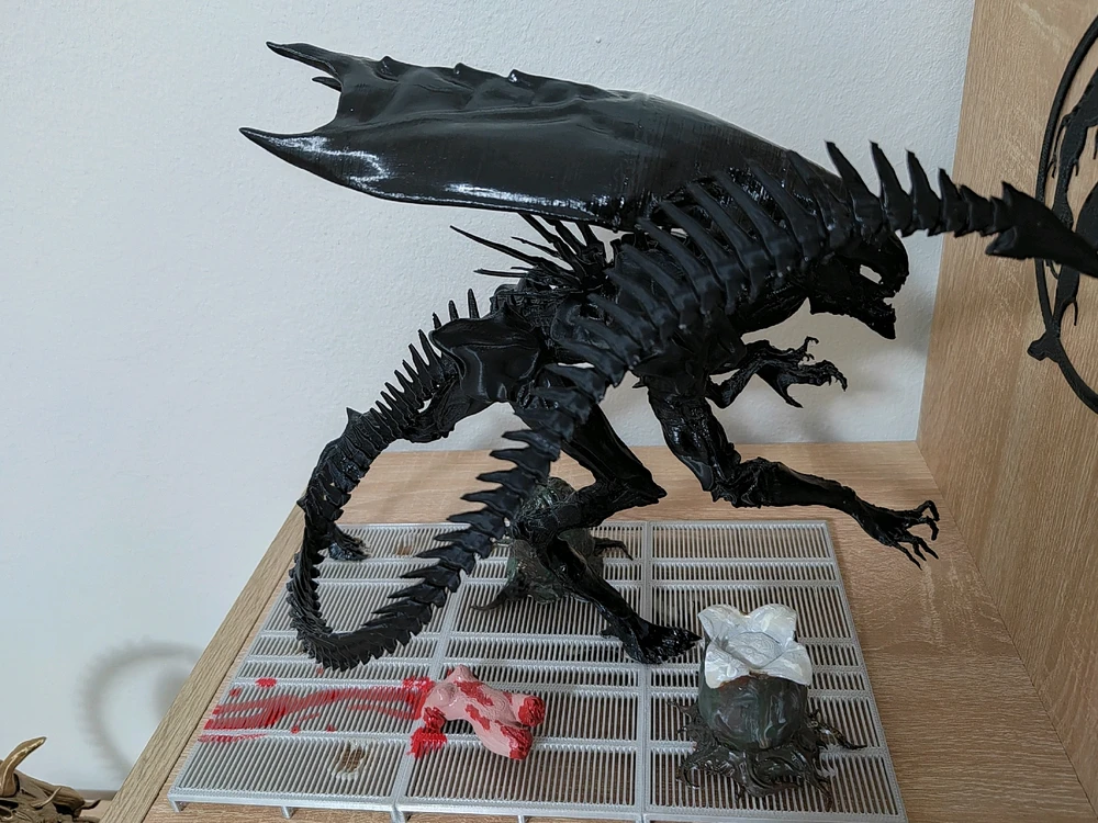 Obrázek nahrál Lukáš