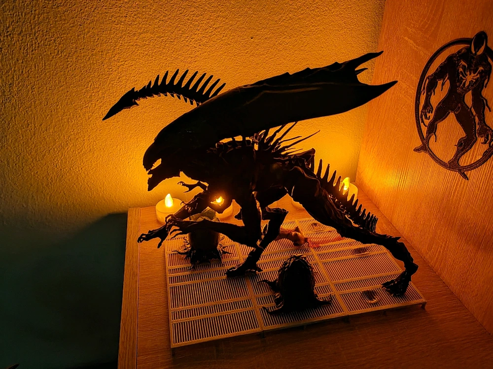 Obrázek nahrál Lukáš