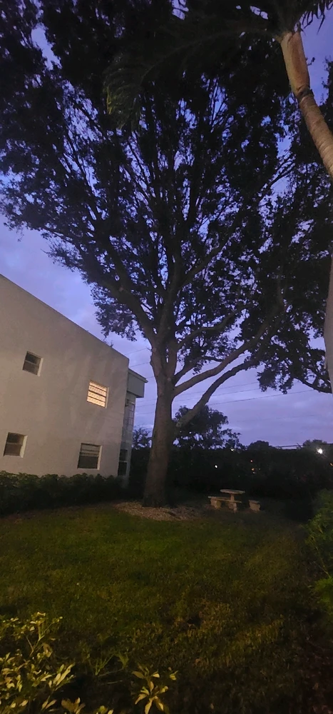 Image uploaded by Liza