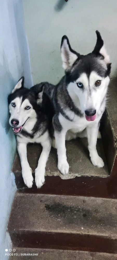 The ladies of the House 😍😍