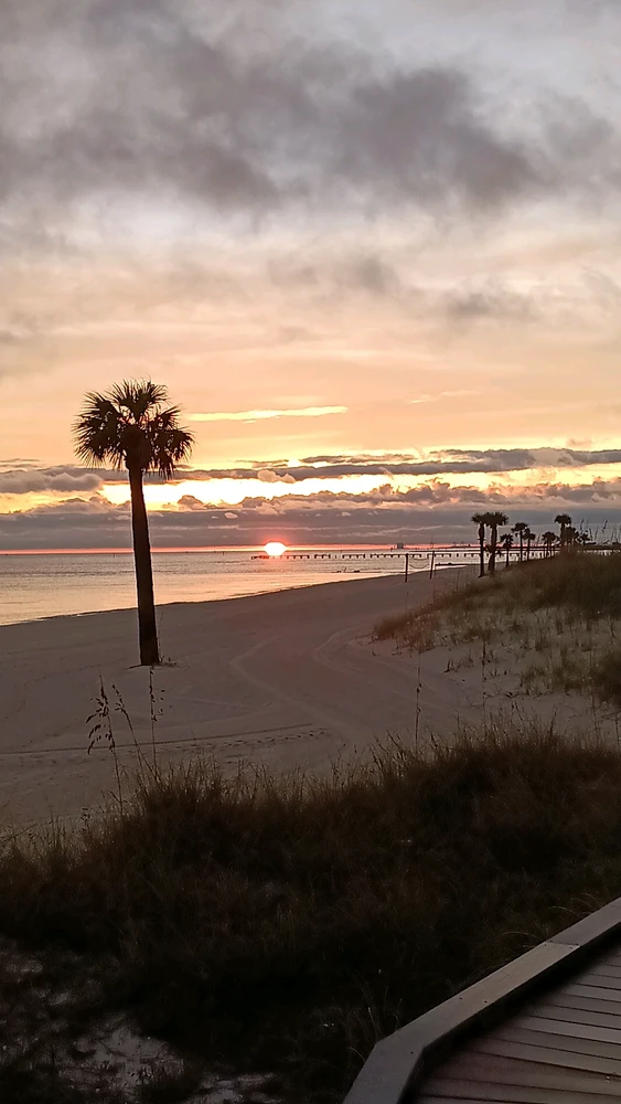 GIF uploaded by Melaine