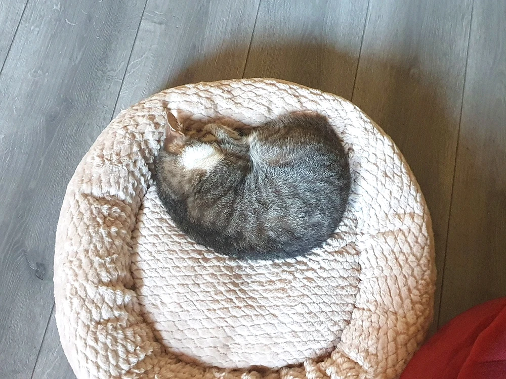 GIF uploaded by Tara