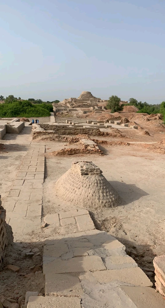 Image uploaded by Tousif