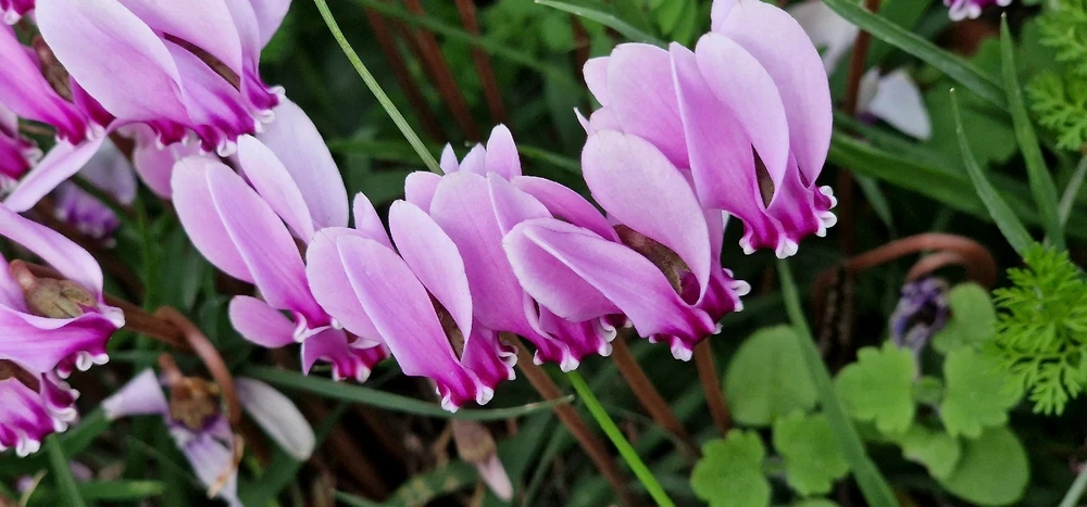 Image uploaded by Mare