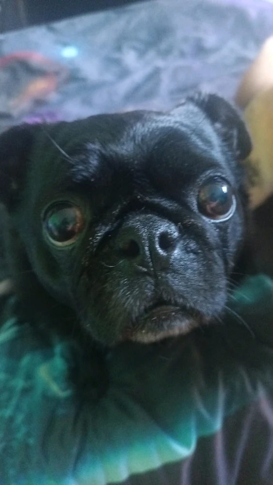 GIF uploaded by River