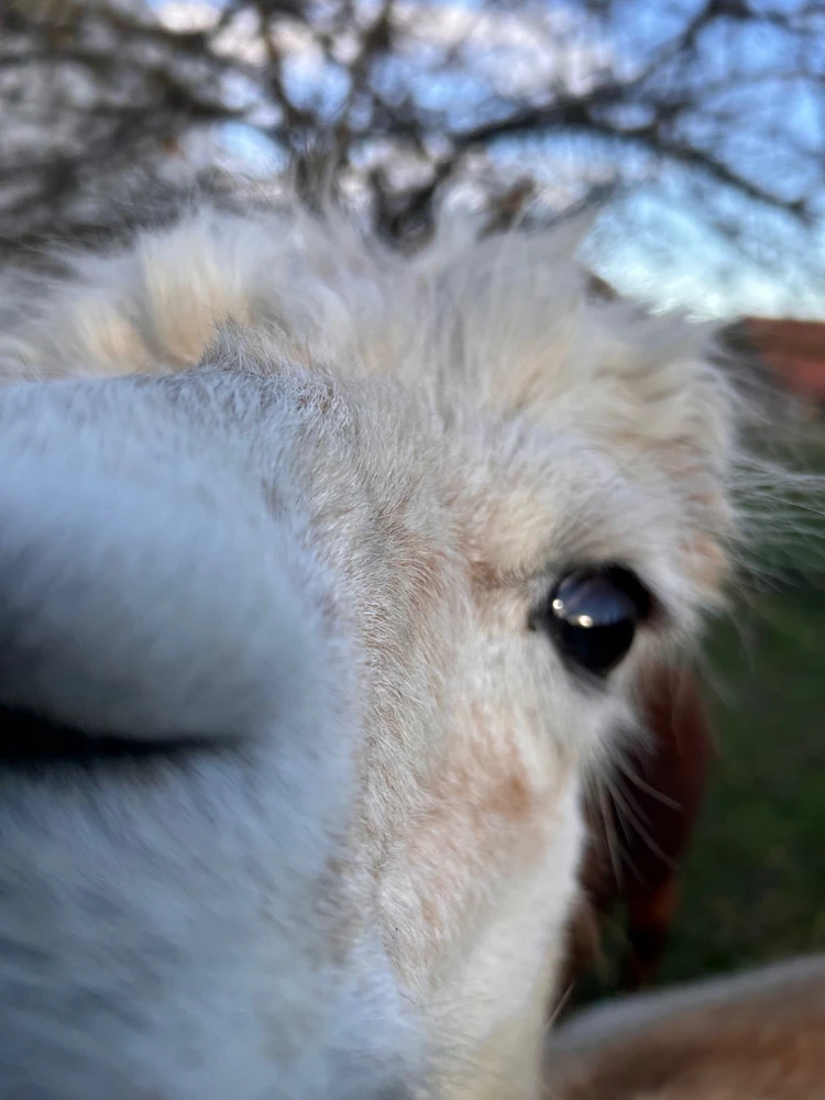 GIF hochgeladen von Kathi