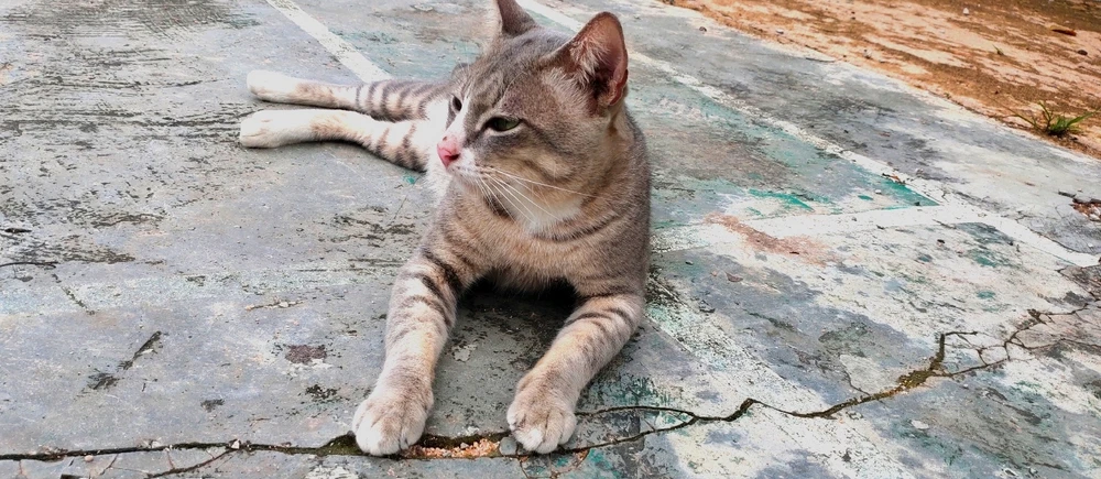 GIF diunggah oleh ica