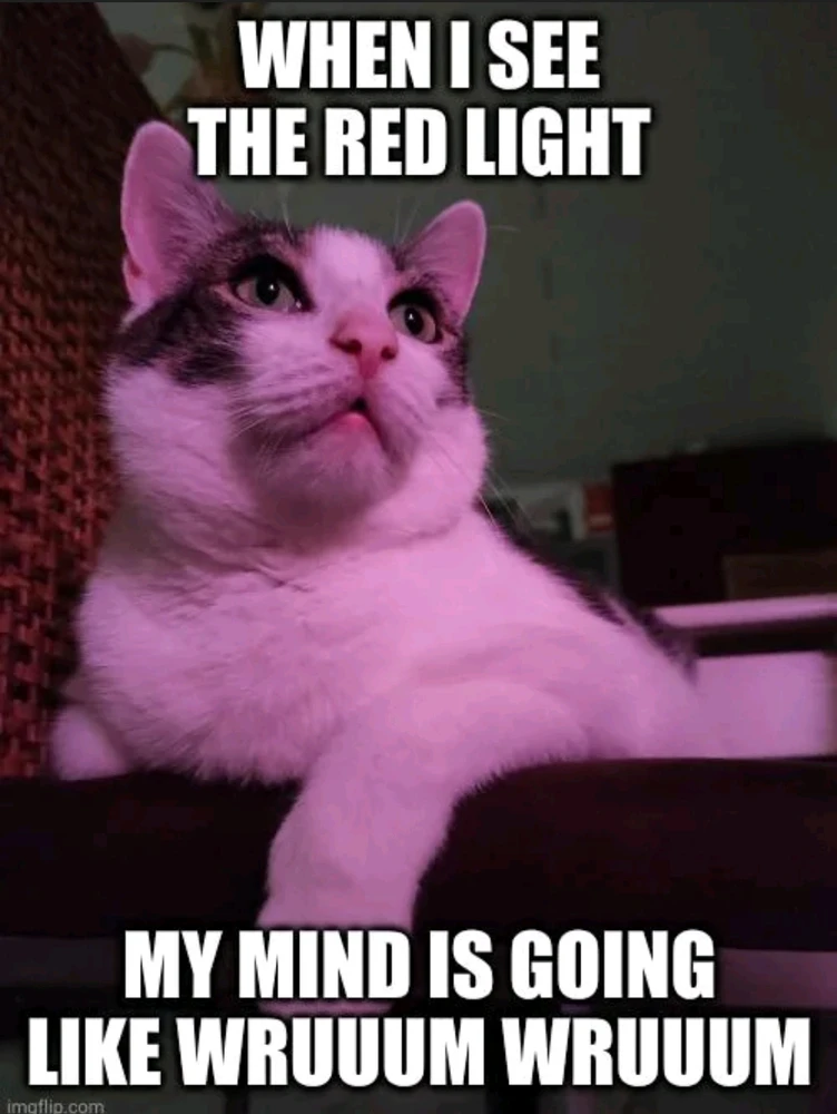 GIF hochgeladen von Garret