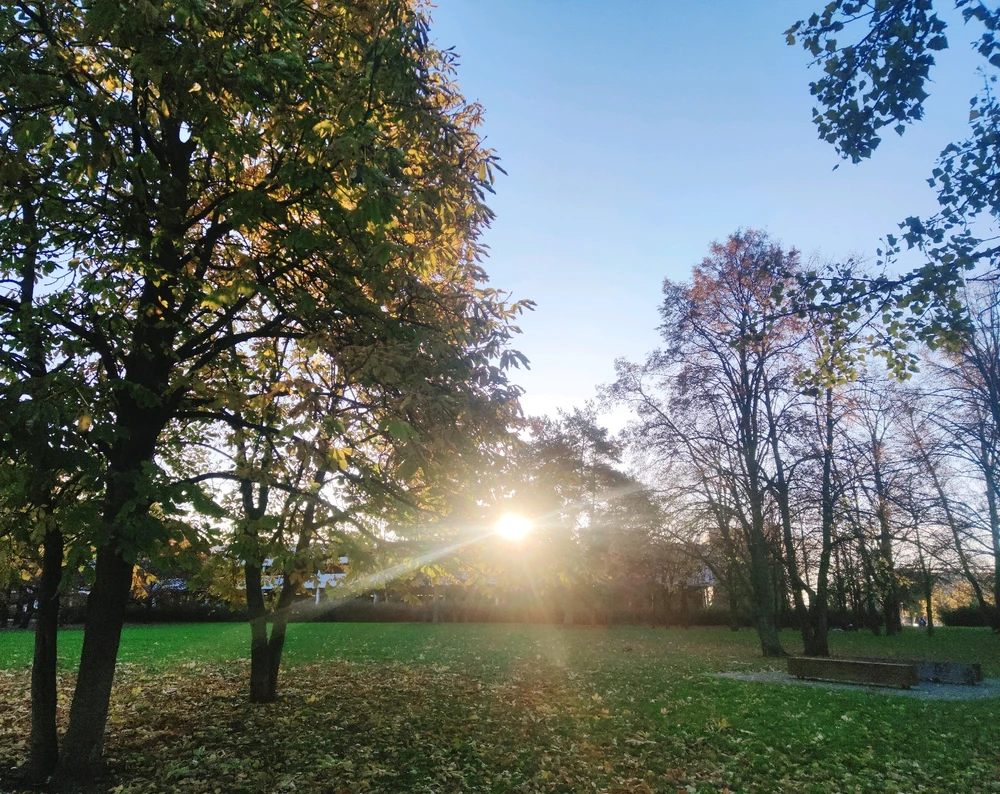 Obrázek nahrál 🧿