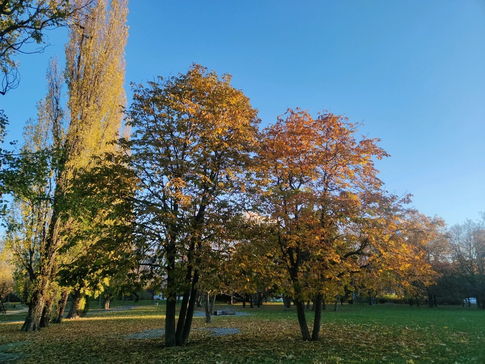 Obrázek nahrál 🧿