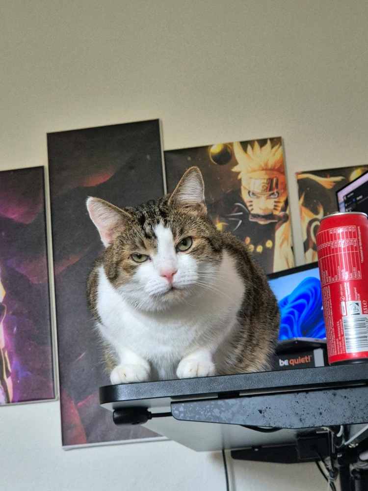 GIF hochgeladen von Claudia