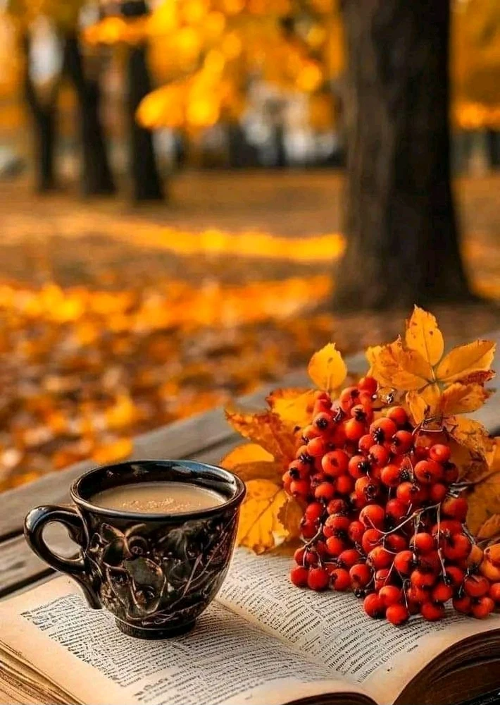 Burak tarafından yüklenen GIF