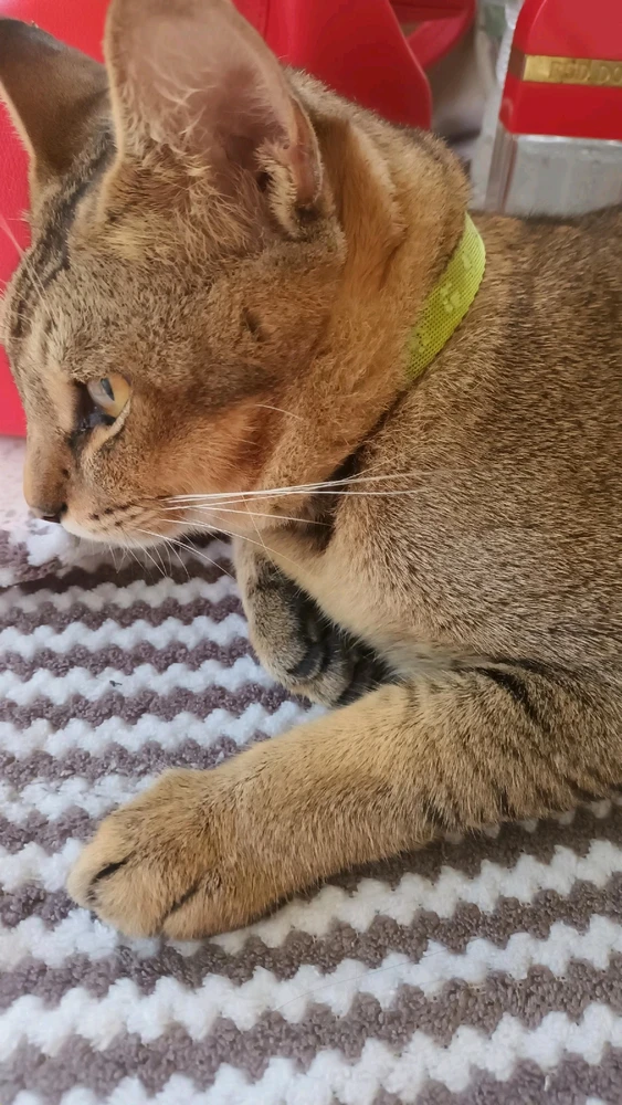 Image ajoutée par Tikky