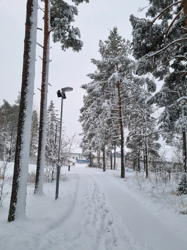 GIF uppladdad av Rob4Short