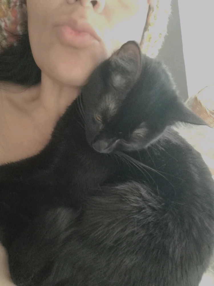 ❤ Sophia aka Mango Mami ❤️ 上傳的 GIF