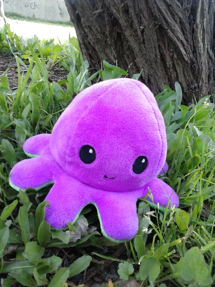 Imagen subida por Pablo