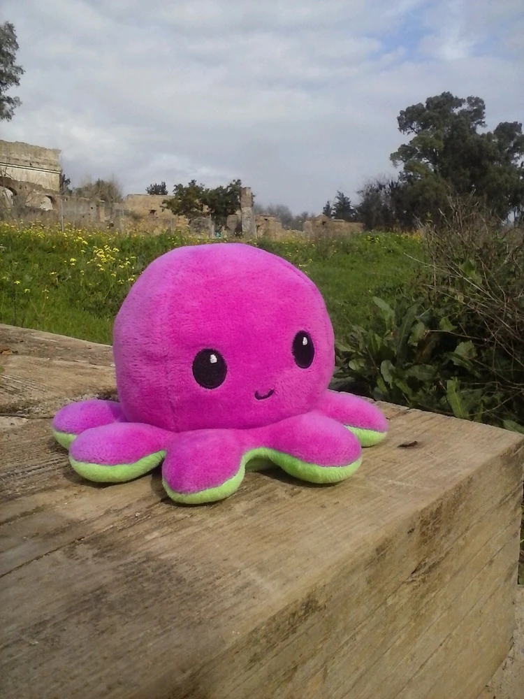 Imagen subida por Pablo