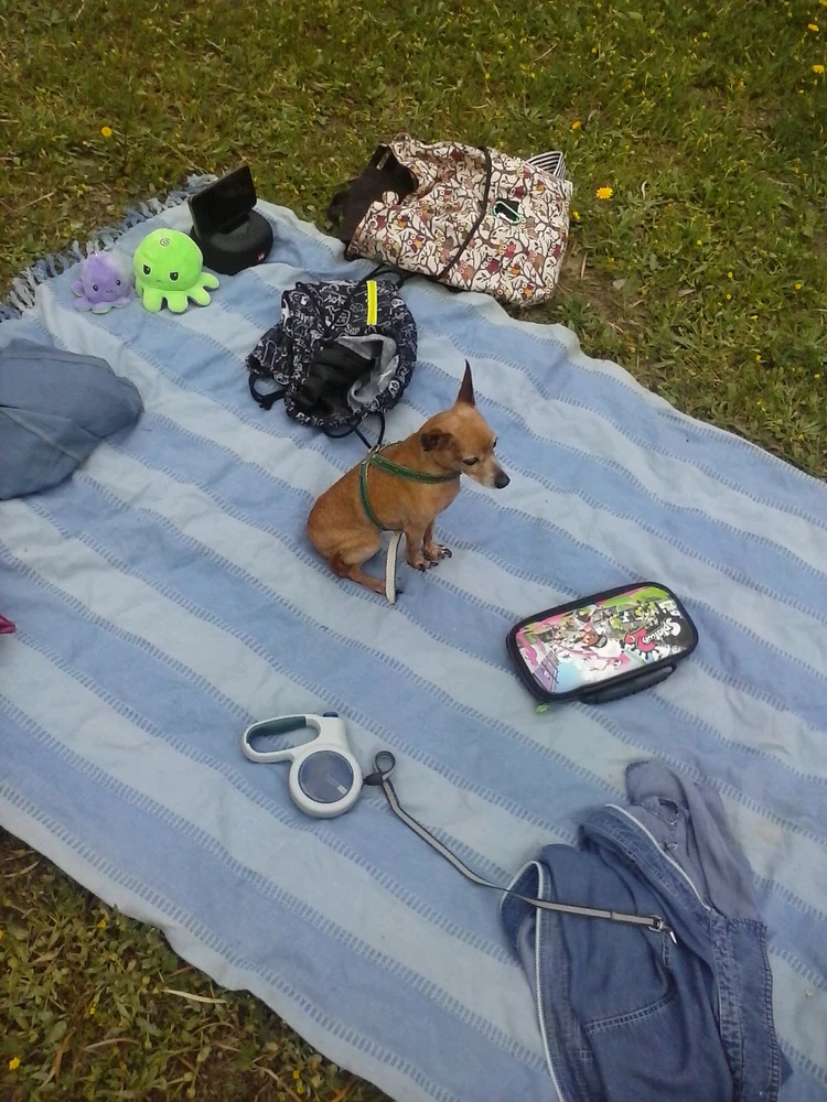 Imagen subida por Pablo