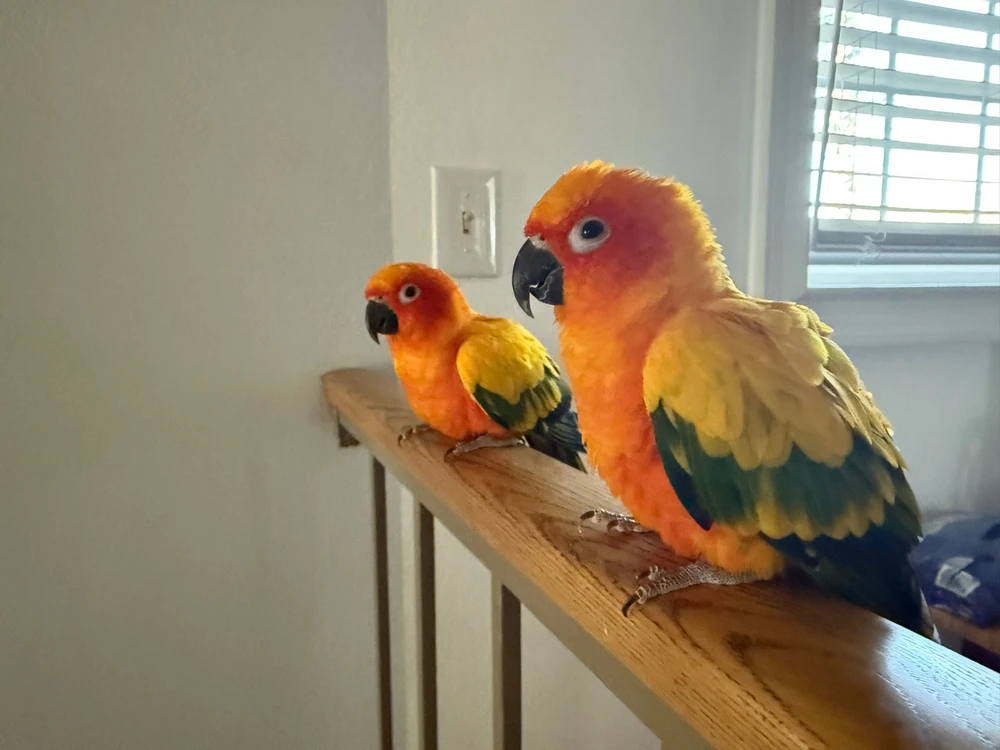 GIF uploaded by Octavio Garcia