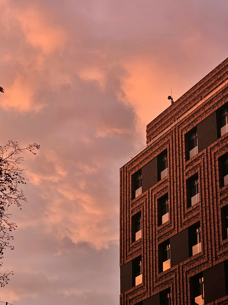 Фото загрузил Elizabeth