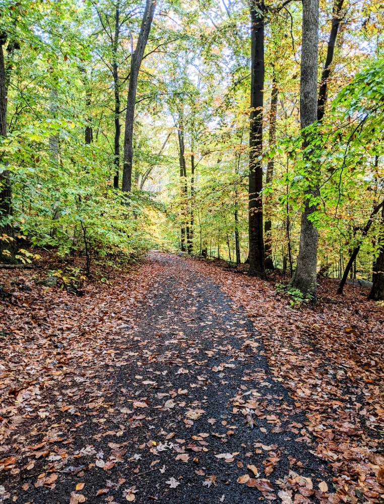 GIF uploaded by Melissa