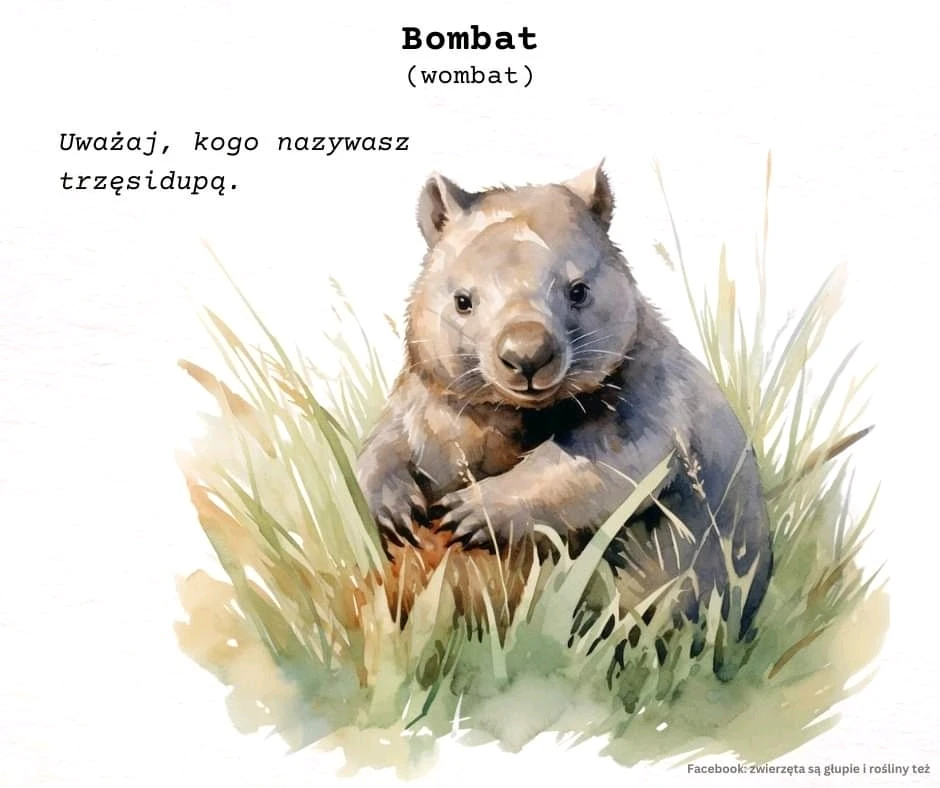 GIF dodany przez Gosia