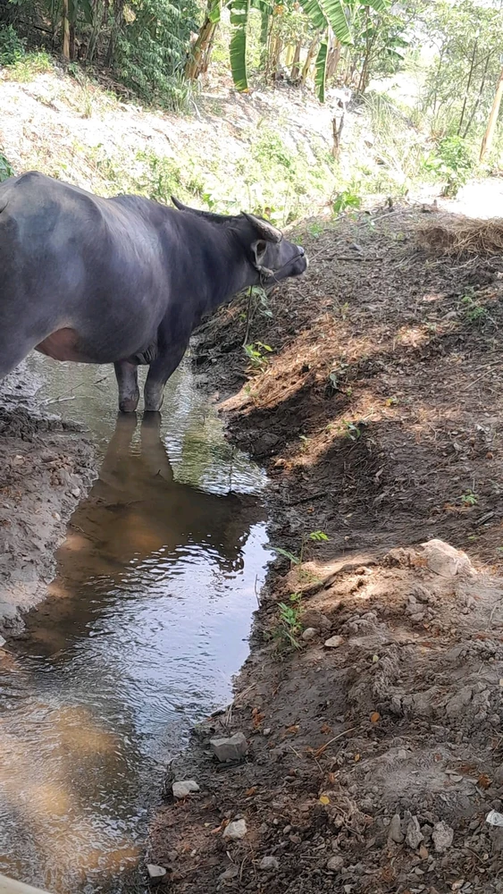 GIF อัปโหลดโดย JAHMAX