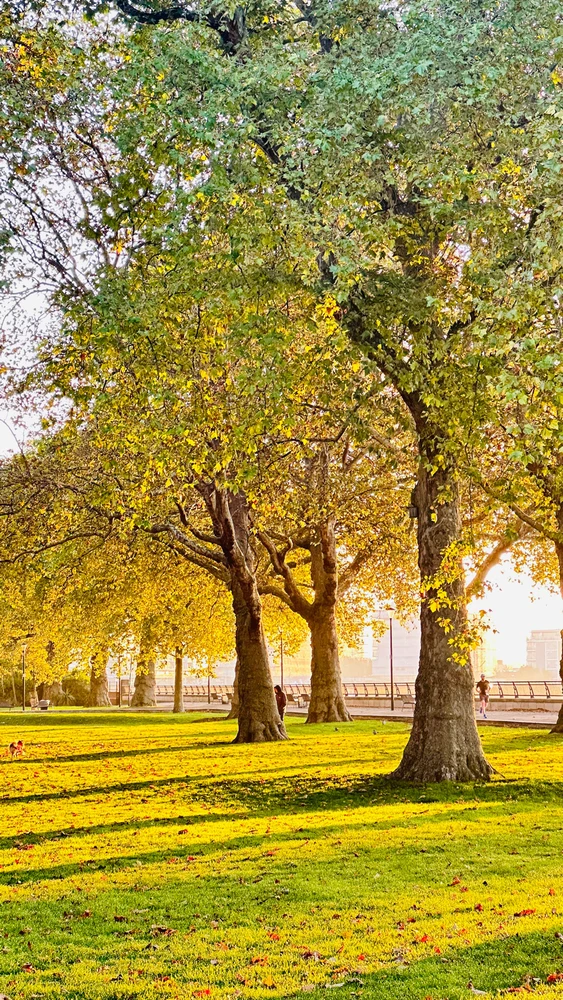 GIF uploaded by Deepak