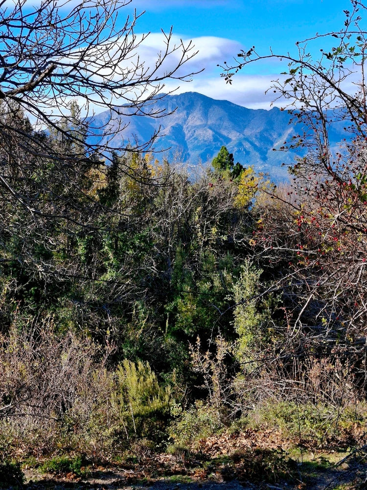 Image ajoutée par Jean-Marie