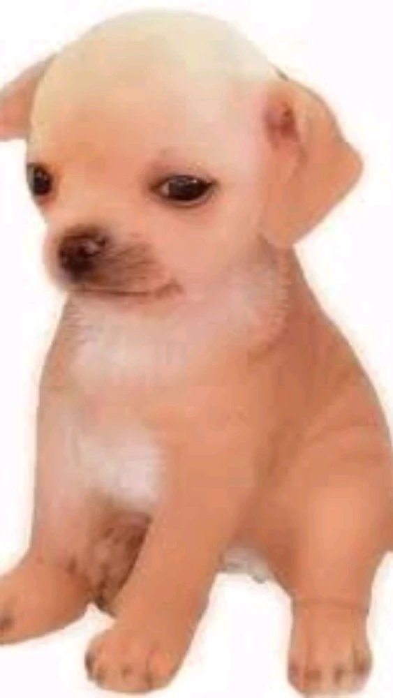 GIF nke Manu bugoro
