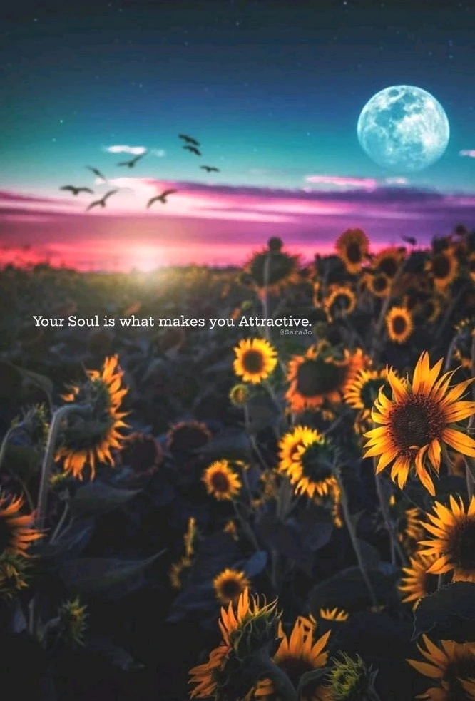 GIF uploaded by Liza