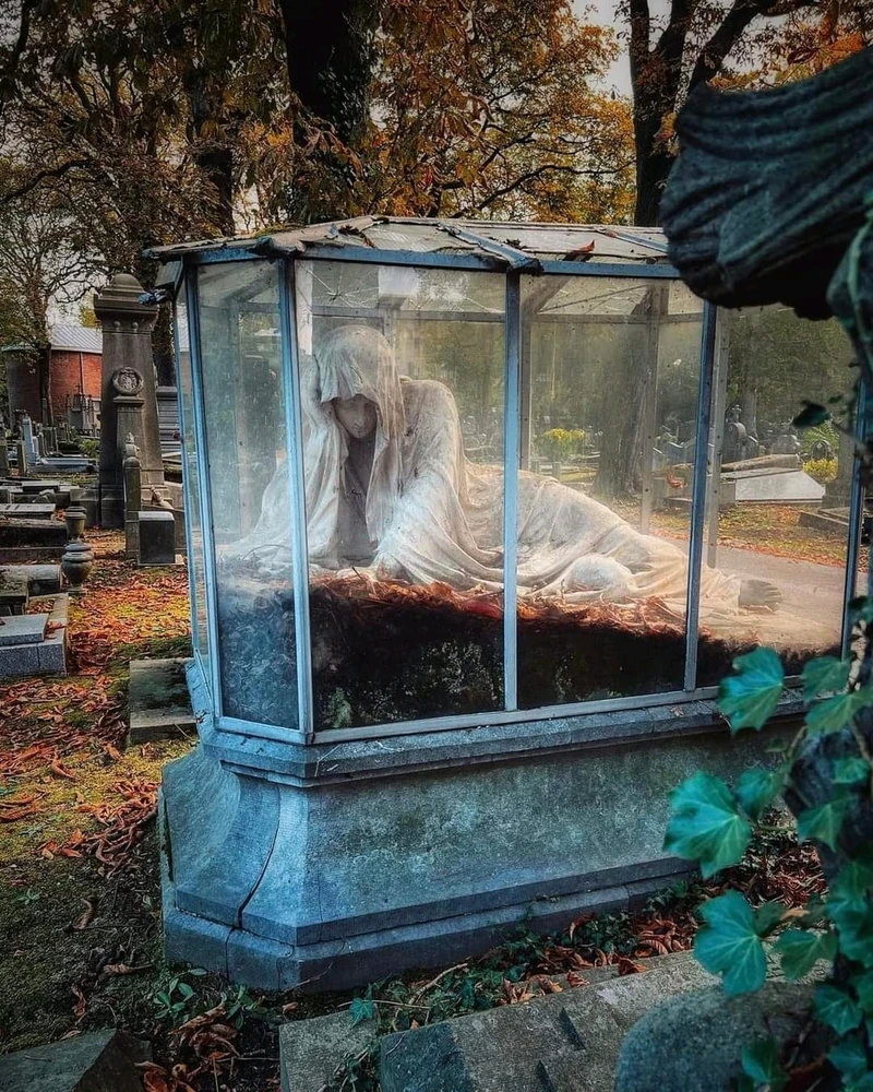 GIF uploaded by Mouse