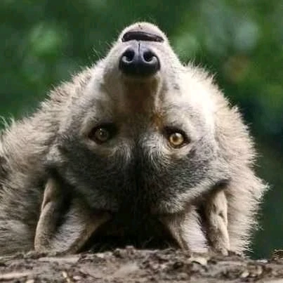 Image uploaded by Anna