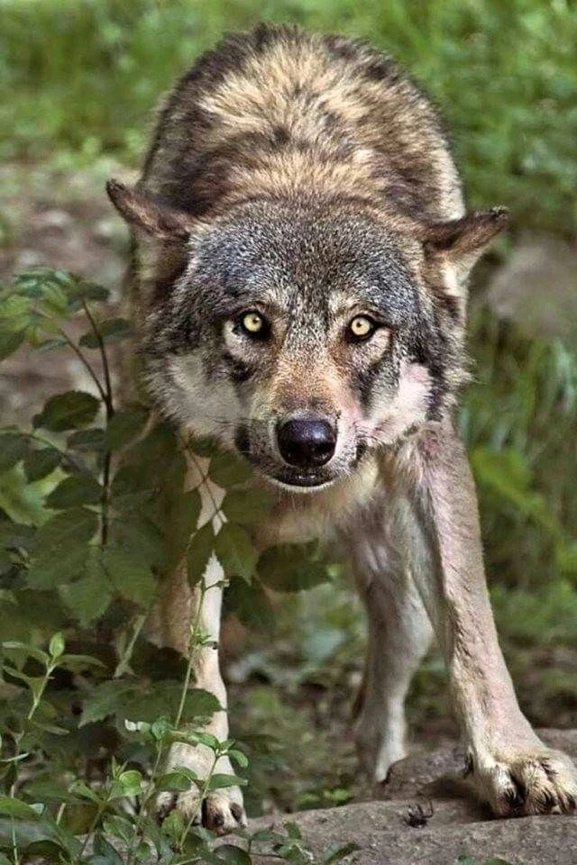 Image uploaded by Anna