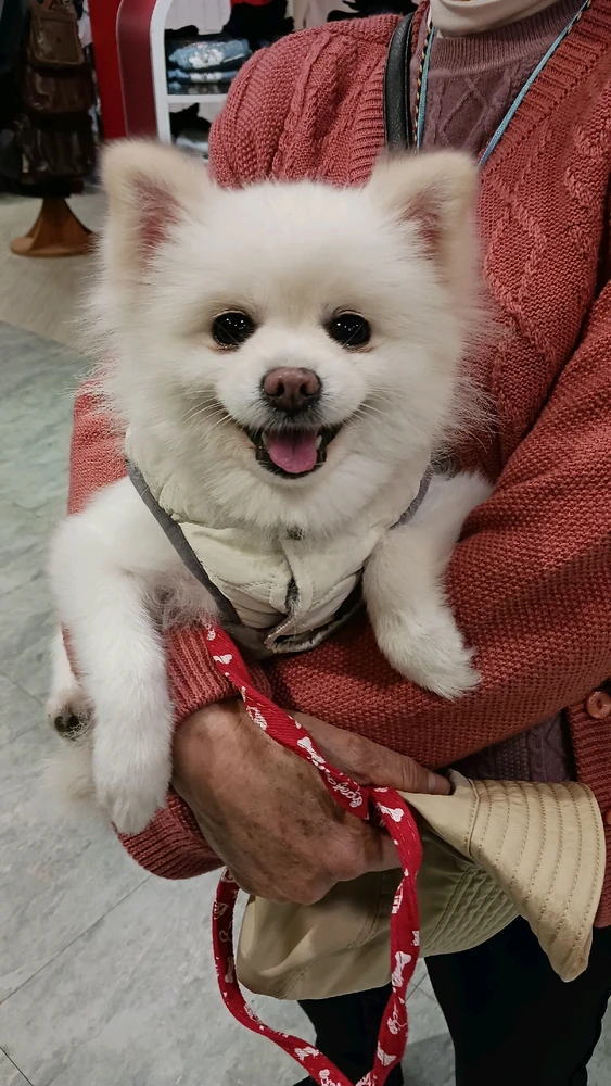 Image uploaded by Fen