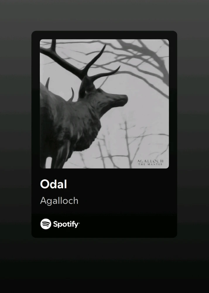 GIF uploaded by Zach ♰