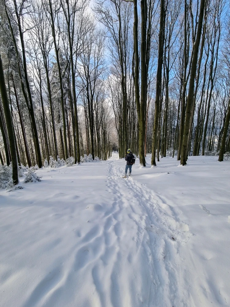 Obrázek nahrál Dejv Fidorka