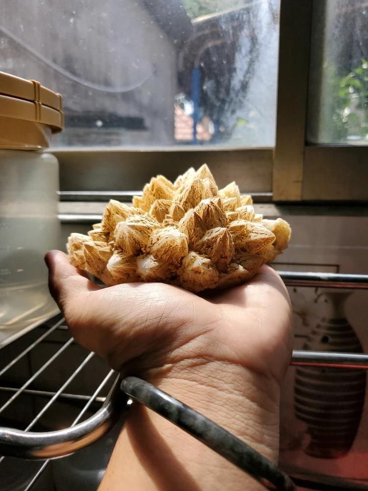 GIF được Du Miên tải lên