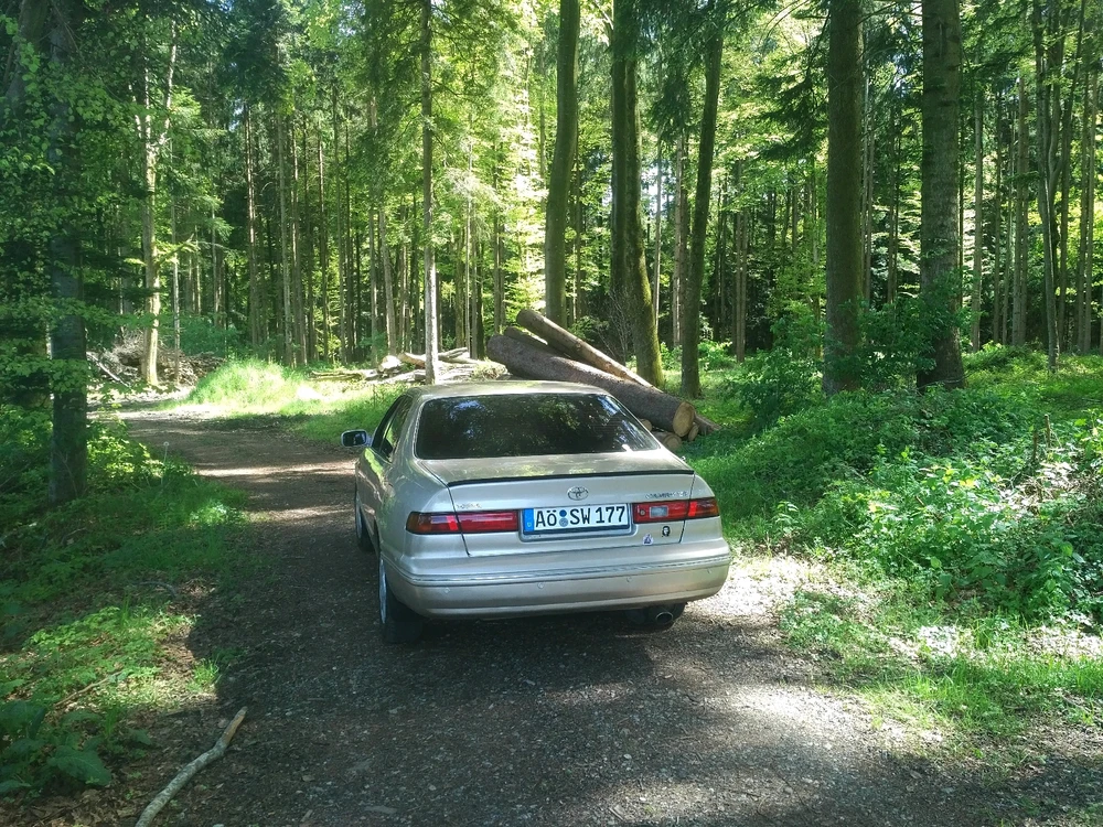 Bild hochgeladen von Thomas Wagner