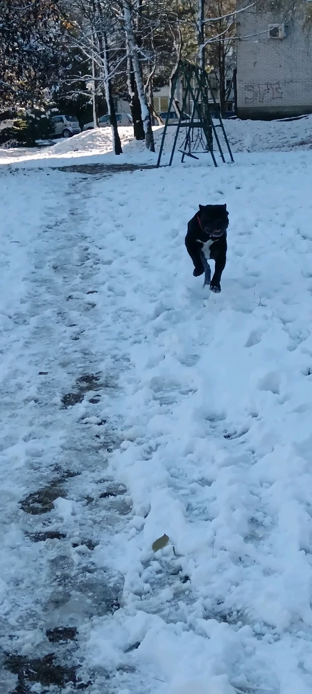 GIF caricata da Manuel